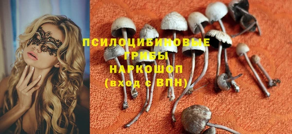 эйфоретик Баксан