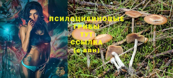 шишки Армянск