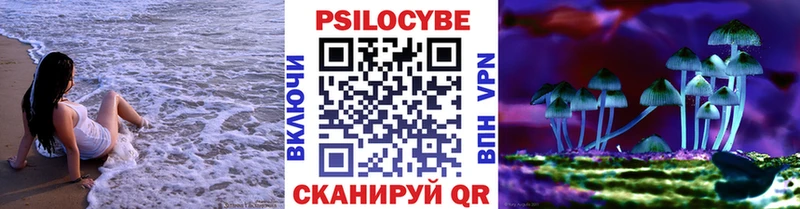 blacksprut онион  хочу наркоту  Мичуринск  Псилоцибиновые грибы Magic Shrooms 